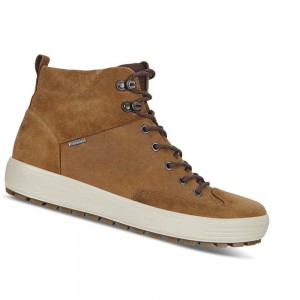 Botas Ecco Soft 7 Tred Gtx High Hombre Cafes Marrom | México 459CTV