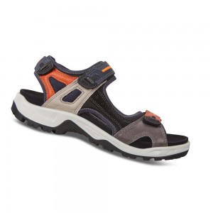 Sandalias Ecco Offroad Hombre Multicolor | México 328VRW