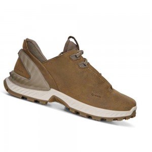 Tenis Trail & Senderismo Ecco Exohike Low Gtx Hombre Marrom | México 353BEX