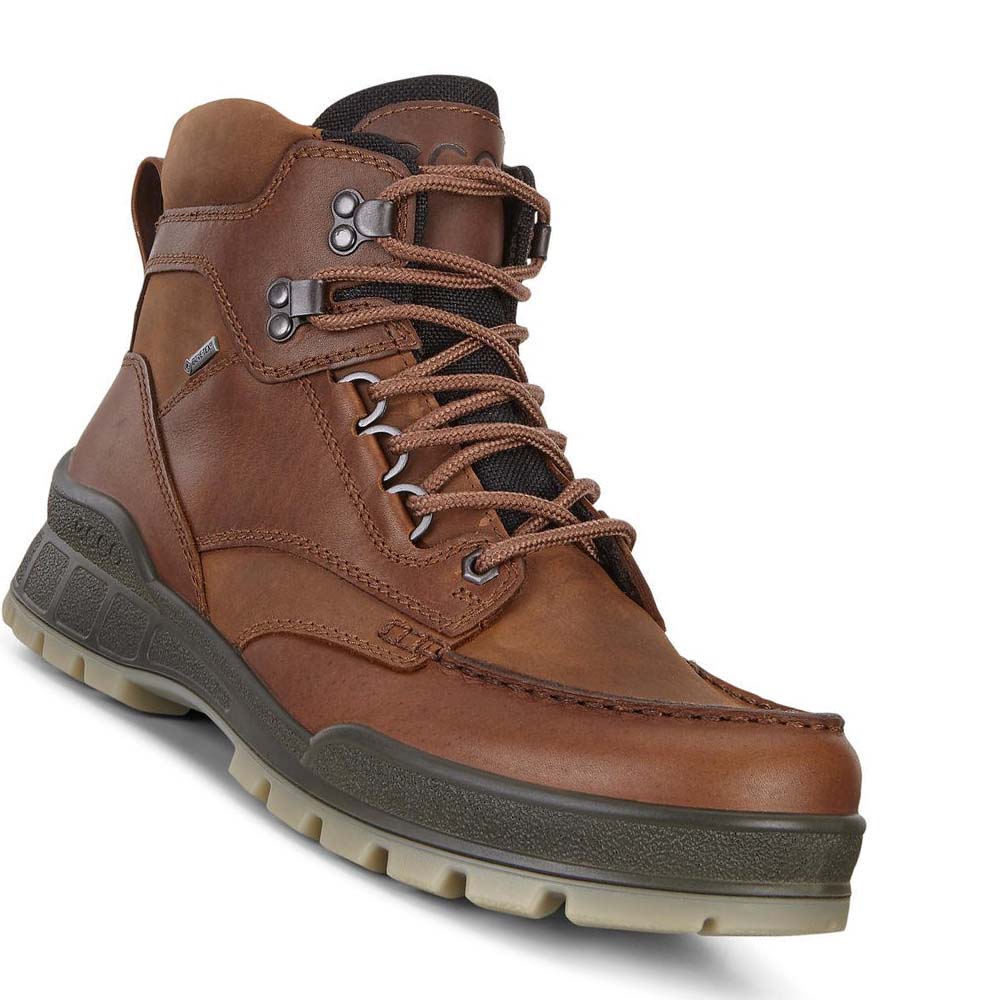 Botas Ecco Track 25 High Hombre Marrom | México 452EBC