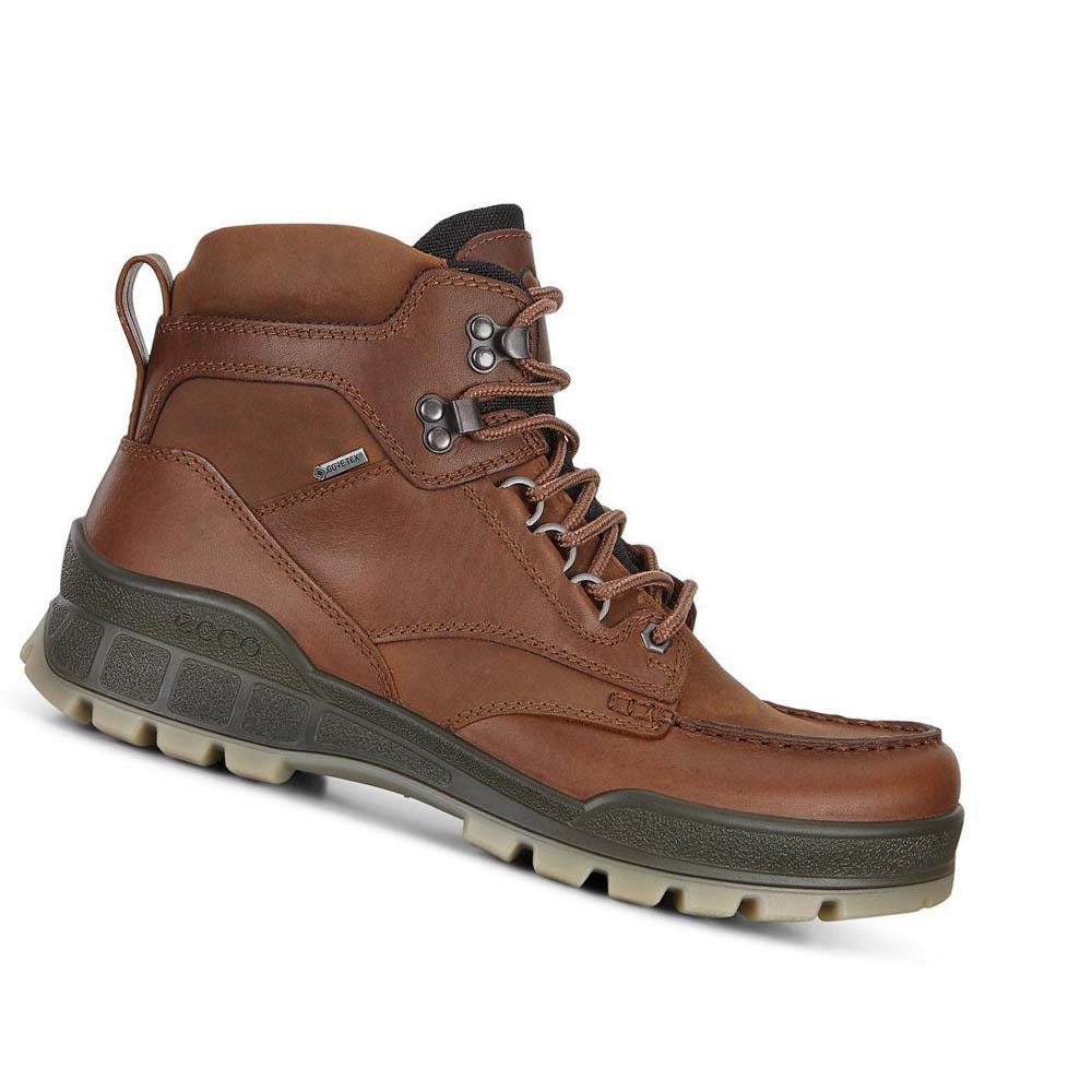 Botas Ecco Track 25 High Hombre Marrom | México 452EBC