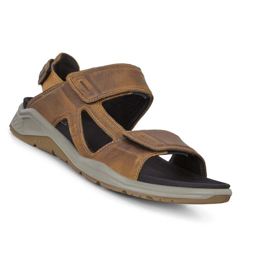 Sandalias Ecco X-trinsic Flat Hombre Marrom | México 326NWY