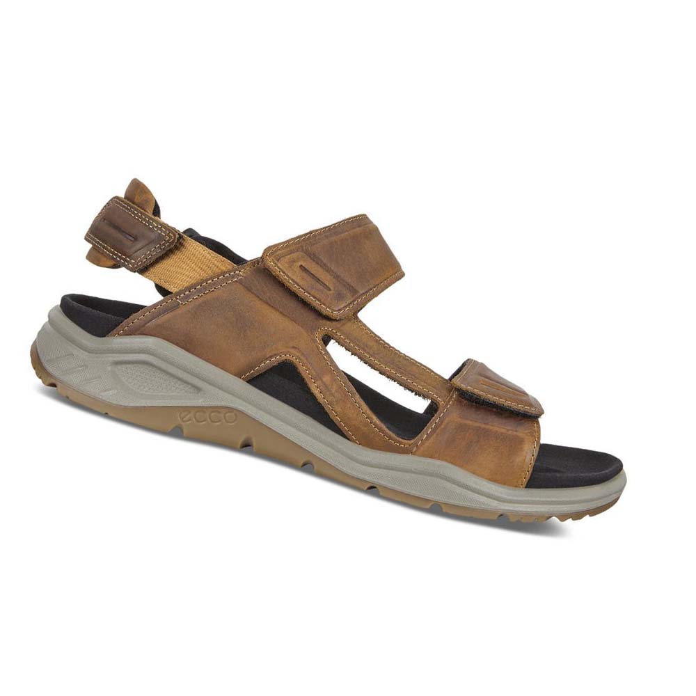 Sandalias Ecco X-trinsic Flat Hombre Marrom | México 326NWY