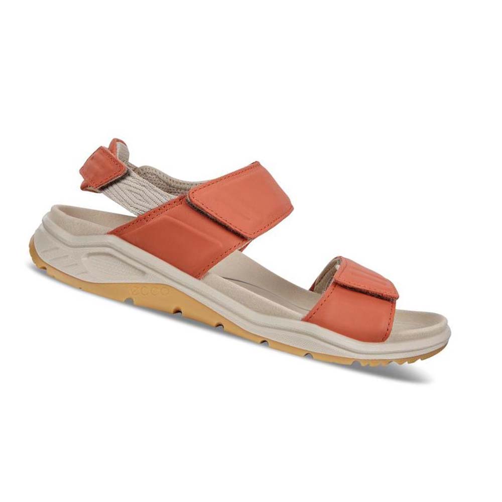 Sandalias Ecco X-trinsic Flat Mujer Oub11v7w2n | México 683YXF