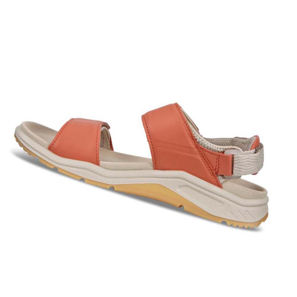 Sandalias Ecco X-trinsic Flat Mujer Oub11v7w2n | México 683YXF