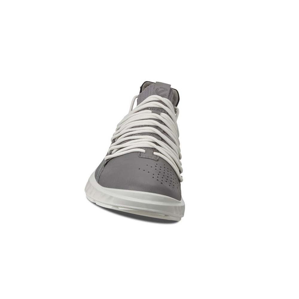 Tenis Ecco St.1 Lite Hombre Plateados | México 274NWY