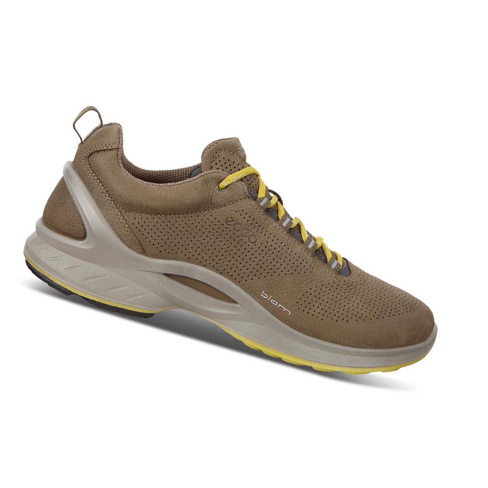 Tenis Trail & Senderismo Ecco Mens Biom Fjuel Perf Hombre Marrom | México 348EBC