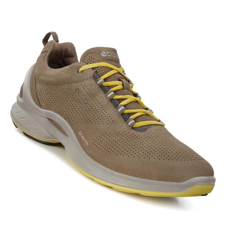 Tenis Trail & Senderismo Ecco Mens Biom Fjuel Perf Hombre Marrom | México 348EBC