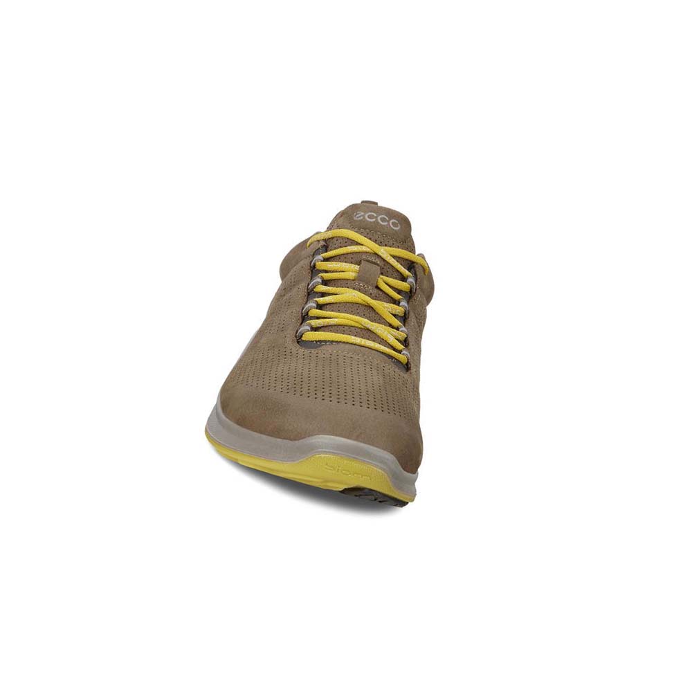 Tenis Trail & Senderismo Ecco Mens Biom Fjuel Perf Hombre Marrom | México 348EBC