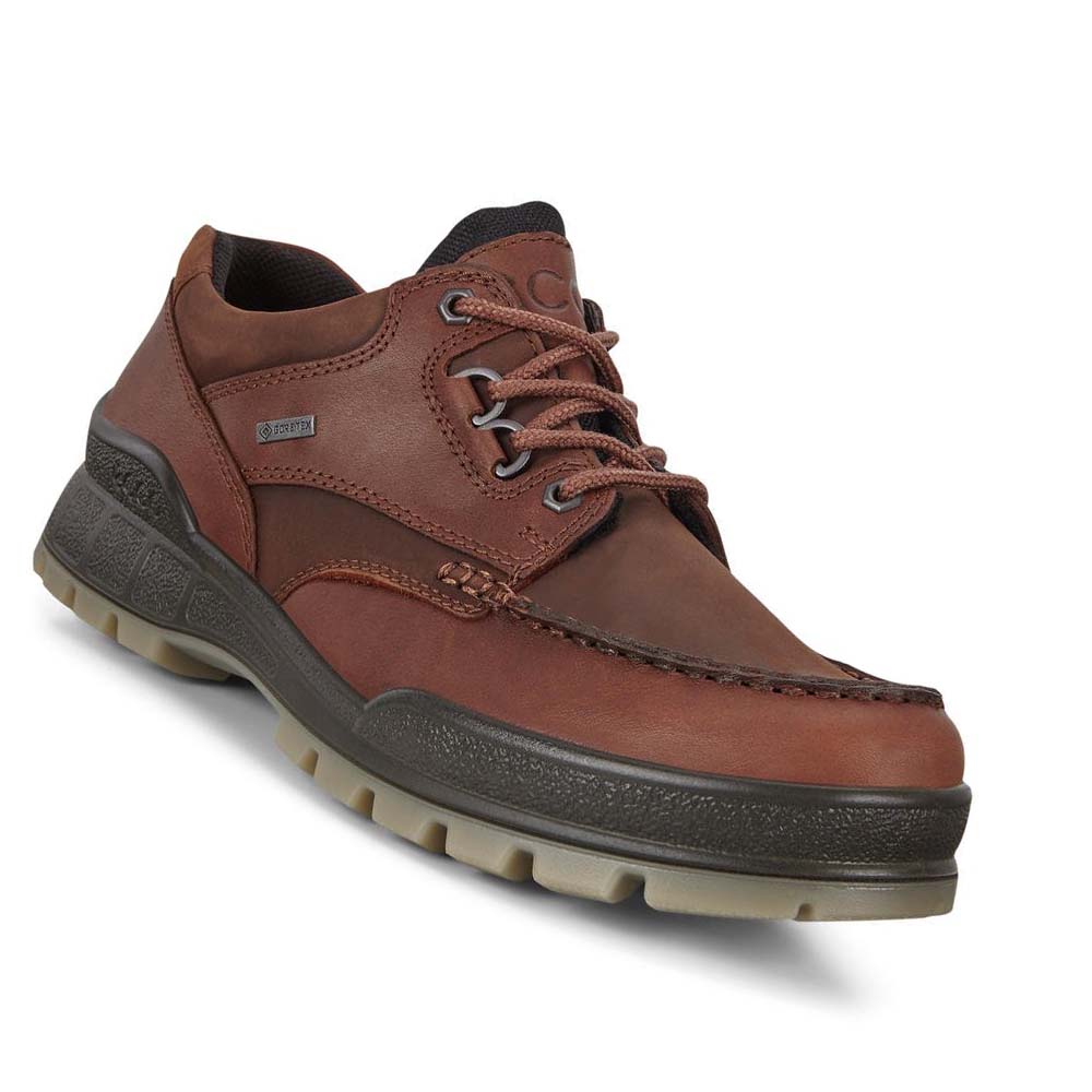 Tenis Trail & Senderismo Ecco Track 25 Low Hombre Vino | México 344UZG